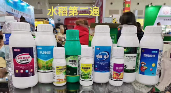 杀虫+营养+增产样样行!省工省力又高产!一站式解决所有问题! 杀虫+营养+增产样样行!省工省力又高产!一站式解决所有问题!